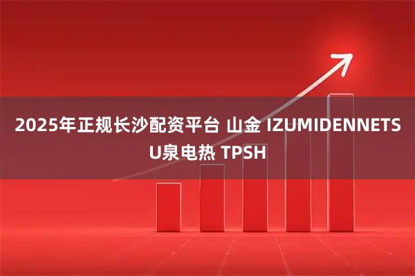 2025年正规长沙配资平台 山金 IZUMIDENNETSU泉电热 TPSH