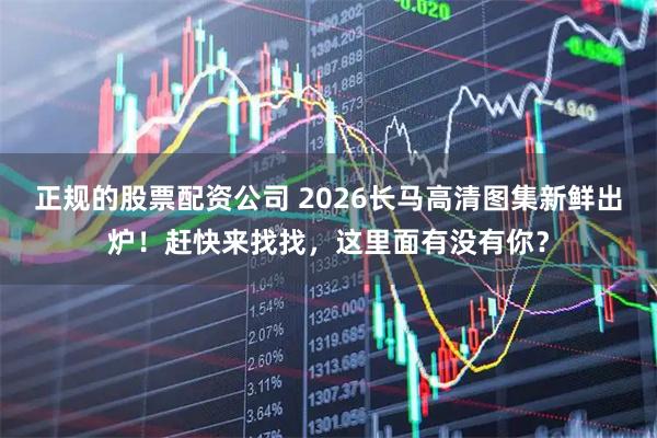 正规的股票配资公司 2026长马高清图集新鲜出炉！赶快来找找，这里面有没有你？