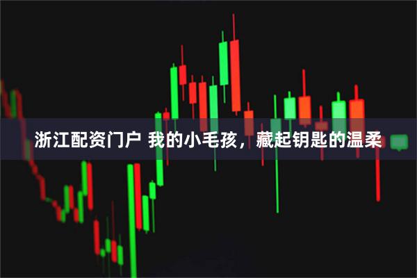 浙江配资门户 我的小毛孩，藏起钥匙的温柔